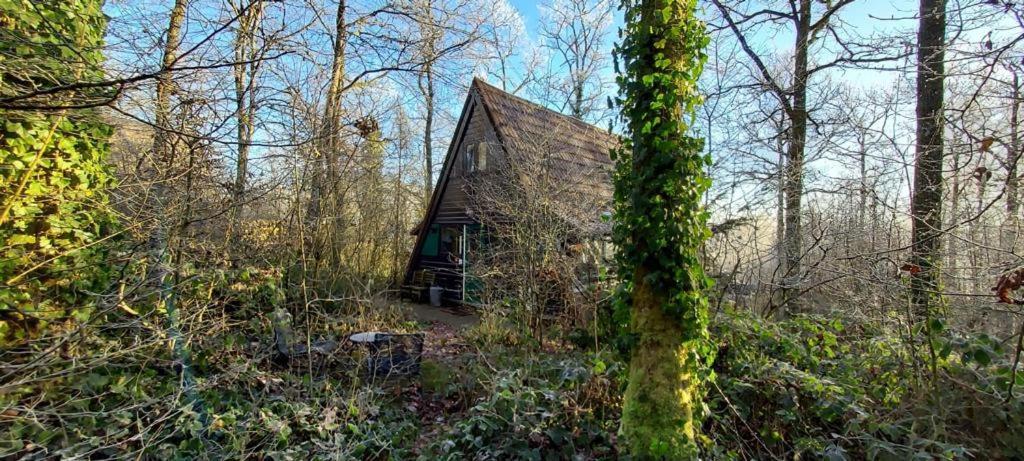 Het Boshuisje In Durbuy Villa Luaran gambar