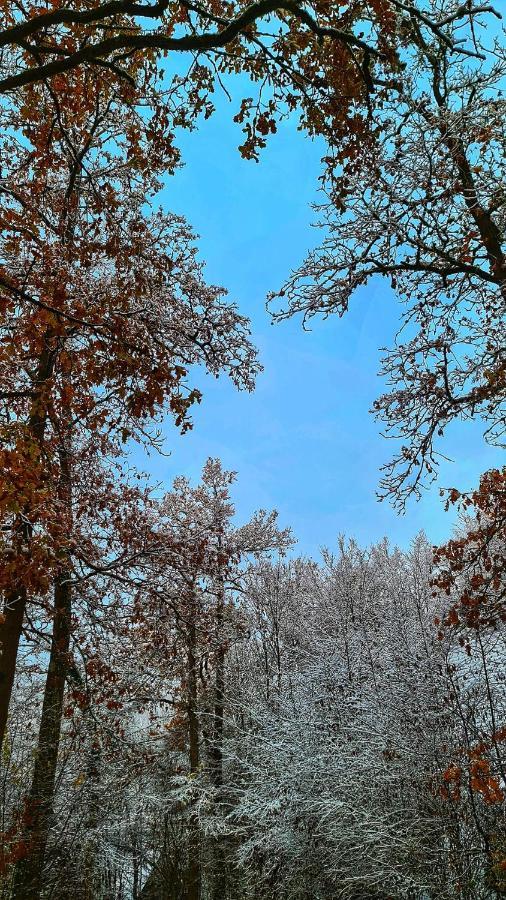 Het Boshuisje In Durbuy Villa Luaran gambar