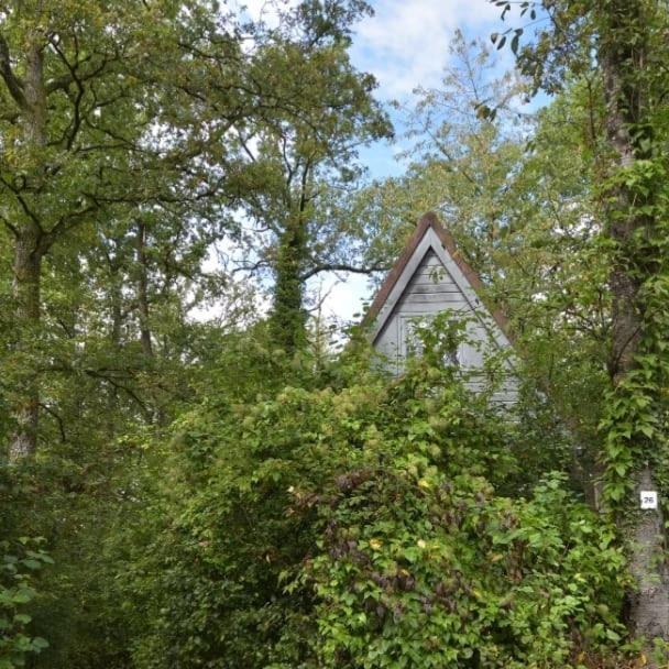 Het Boshuisje In Durbuy Villa Luaran gambar