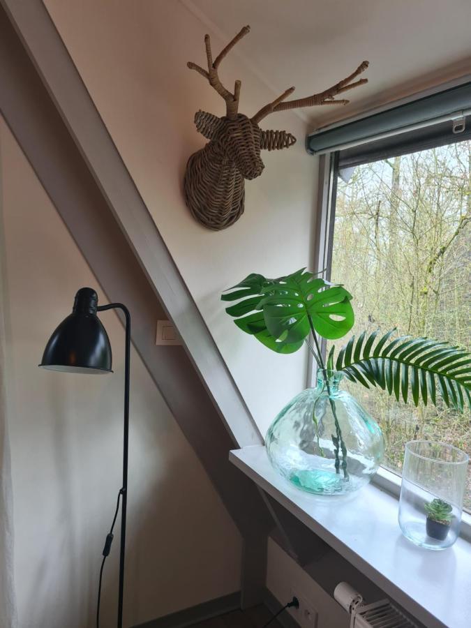 Het Boshuisje In Durbuy Villa Luaran gambar